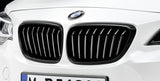 BMW F22 2 Series M Performance Gloss Black Grilles